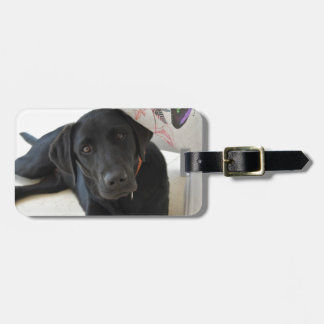 Customizable Black Labrador Retriever Luggage Tag
