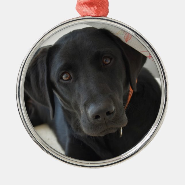 Customizable Black Labrador Retriever Metal Ornament (Front)