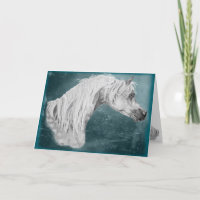 Customizable Blank Arabian Horse Card