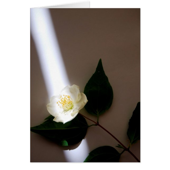 Customizable Blank Card (Front)