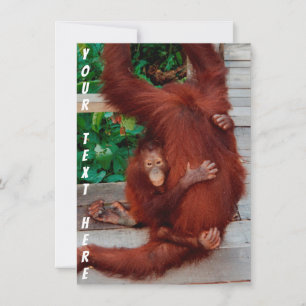 Customizable Borneo orangutan card