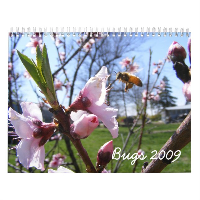 Customizable Bug Calendar (Cover)
