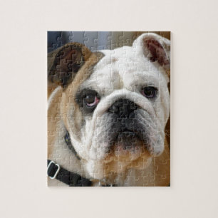 Customizable Bulldog Jigsaw Puzzle