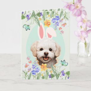 Customizable Bunny Ears Maltese Easter Card