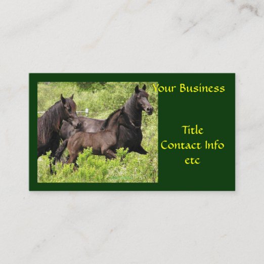 Horse Stable Business Cards & Profile Cards Zazzle CA