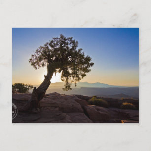 Customizable: Canyonlands & Dead Horse Point Card
