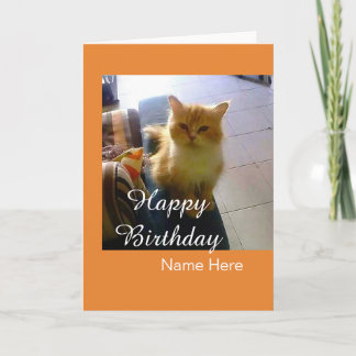 Customizable Cat Birthday Greeting Card With Name