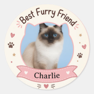 Customizable Cat Photo And Name Sticker