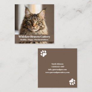 Customizable Cattery Business Card with Cat Photo 