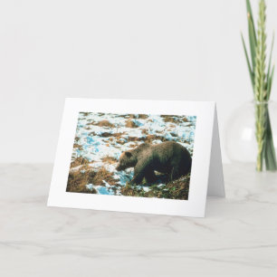 Customizable Christmas Card Winter Grizzly Bear