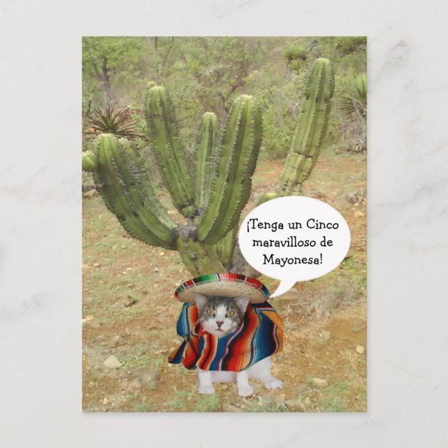 Customizable Cinco de Mayo Postcard (Front)