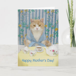 Customizable Cute/Funny Cat Card