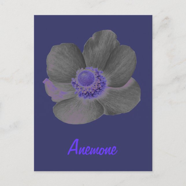 Customizable Dark Dreams Anemone Flower Postcard (Front)