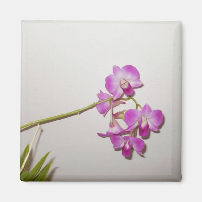 Customizable Decorative Orchid  Magnet (Front)