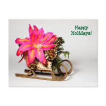 Customizable Epiphyllum Christmas Post Card