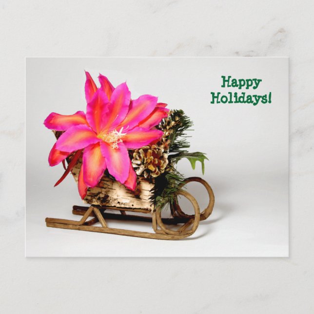 Customizable Epiphyllum Christmas Post Card (Front)