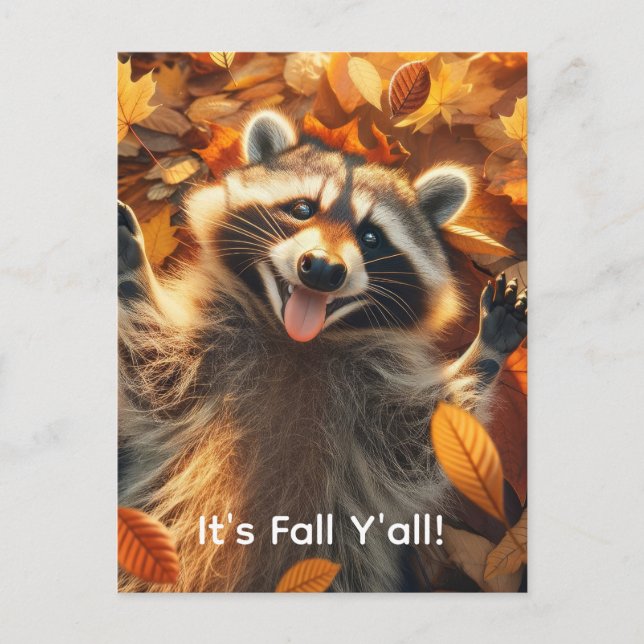 Customizable Fall Silly Raccoon  Postcard (Front)