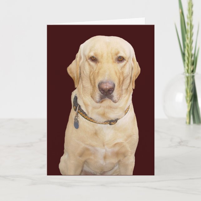 Customizable Father's Day for Father/Brother/Stepf Card (Front)