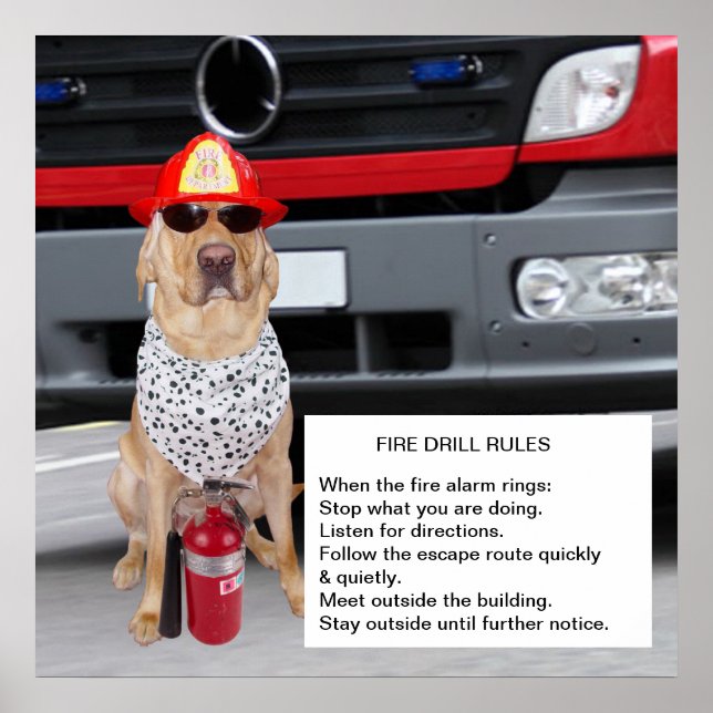 Customizable Fire Drill Poster (Front)