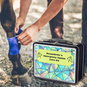 Customizable First Aid Equine Emergency Container Metal Lunch Box