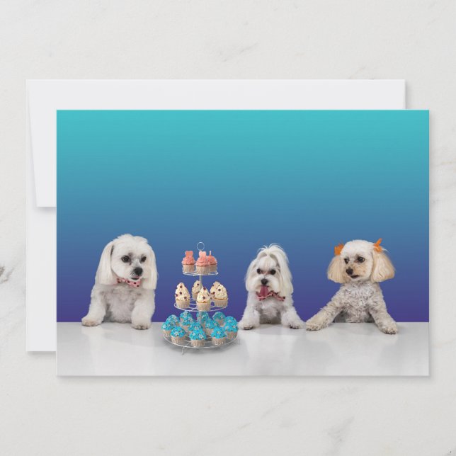 Customizable Flat Party Invitation Card 5x7 (Front)