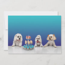 Customizable Flat Party Invitation Card 5x7