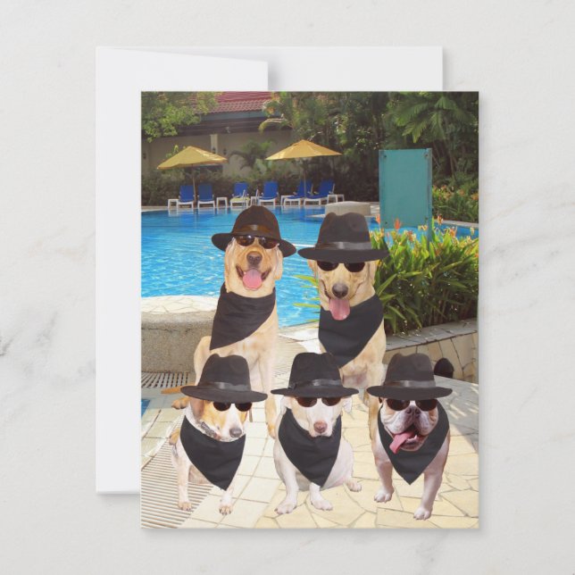 Customizable Funny Blues Dogs/Lab Invite (Front)