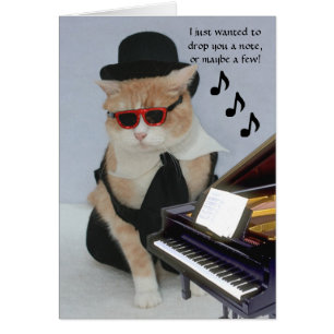 Customizable Funny Cat