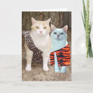 Customizable Funny Cat Birthday or Anniversary Card