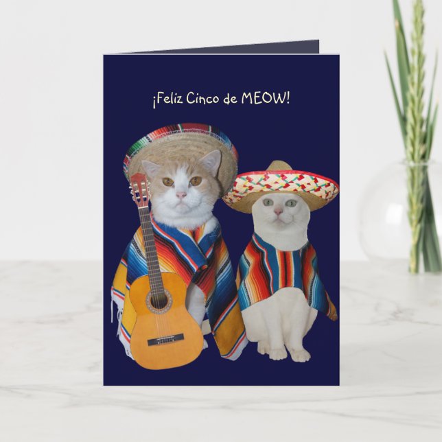 Customizable Funny Cat Cinco de Mayo Card (Front)