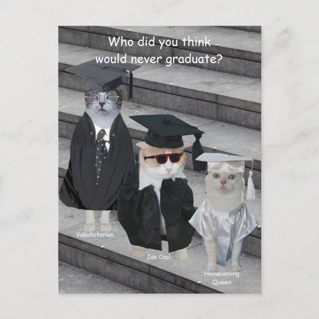 Customizable Funny Cat/Kitty Graduates Announcement Postcard (Front)