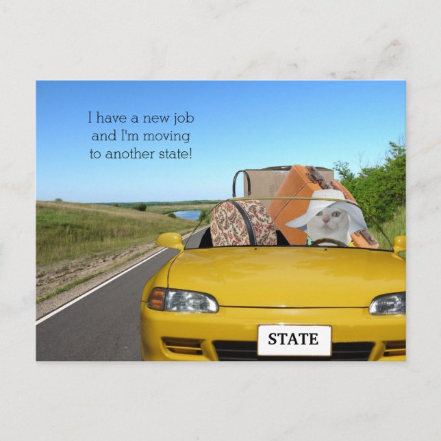 Customizable Funny Cat/Kitty Moving Announcement Postcard (Front)