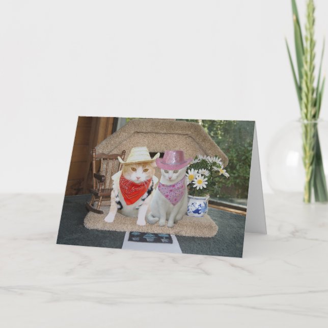 Customizable Funny Cats Anniversary Card (Front)