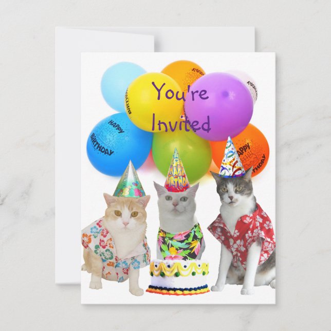 Customizable Funny Cats Birthday Party Invitation (Front)
