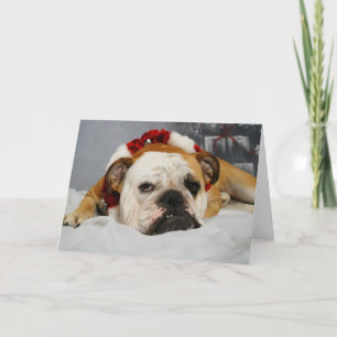 Customizable Funny Christmas Card