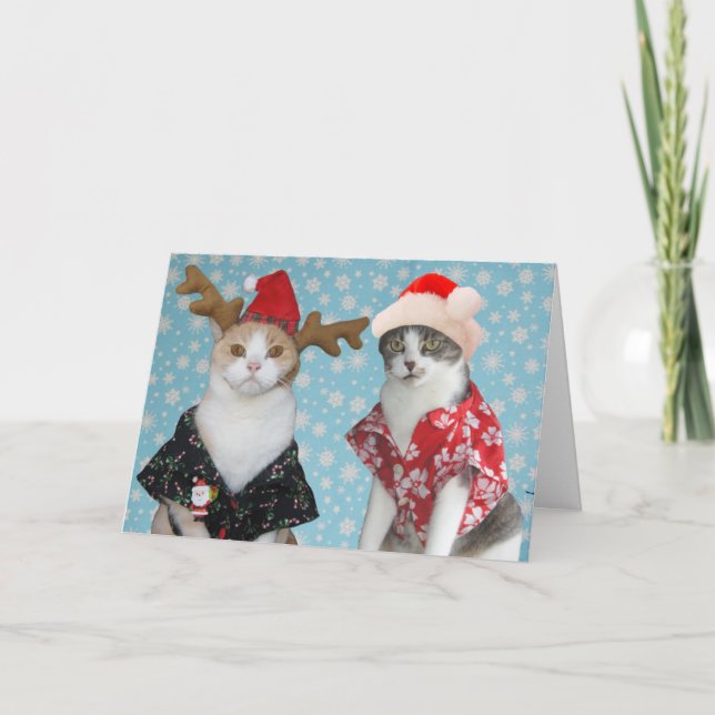 Customizable Funny Christmas Cats Holiday Card (Front)