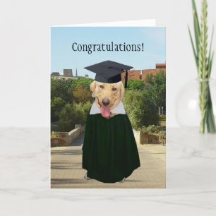Customizable Funny Dog/Lab Graduation Card