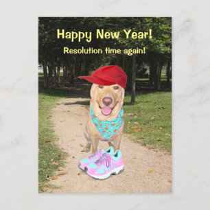 Customizable Funny Dog New Year Resolution Holiday Postcard