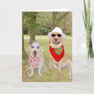 Customizable Funny Dogs Holiday Card