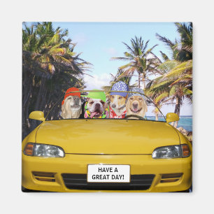 Customizable Funny Dogs in Convertible Magnet