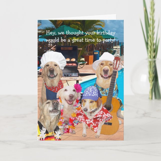 Customizable Funny Dogs/Labs by Pool Birthday Thank You Card (Front)