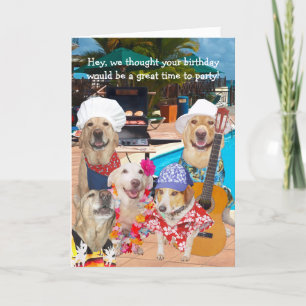 Customizable Funny Dogs/Labs by Pool Birthday Thank You Card