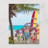Customizable Funny Dogs/Labs on the Beach