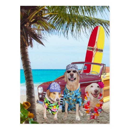 Customizable Funny Dogs/Labs on the Beach Postcard