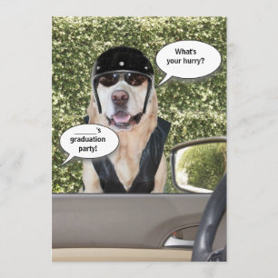 Customizable Funny Graduation Party Invitation
