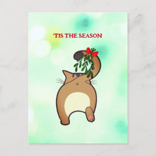 Customizable funny holiday cat tail mistletoe postcard