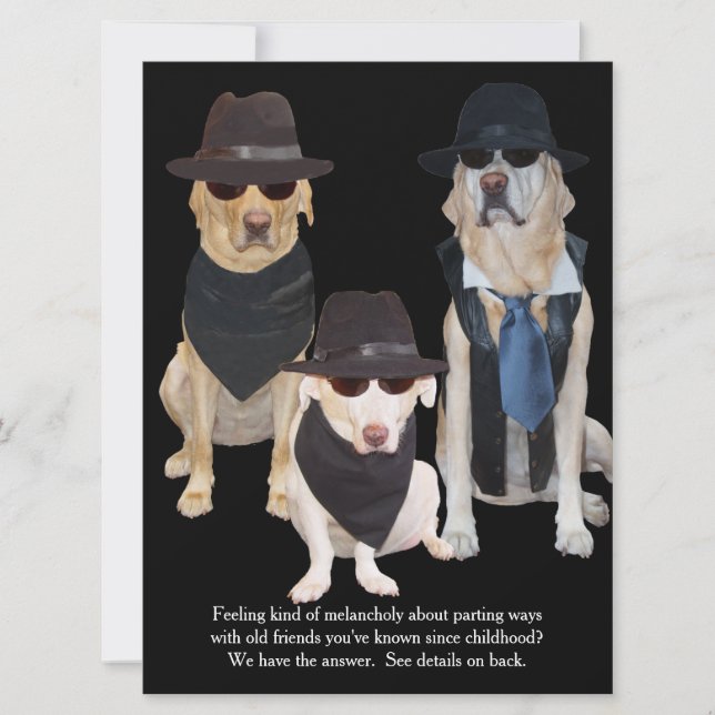 Customizable Funny Labs Graduation Party Invitation (Front)