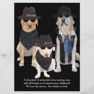 Customizable Funny Labs Graduation Party Invitation