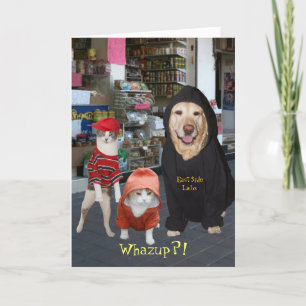 Customizable Funny Pets/Cats/Dog Whazup Birthday Card