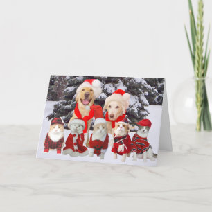 Customizable Funny Pets Christmas Card